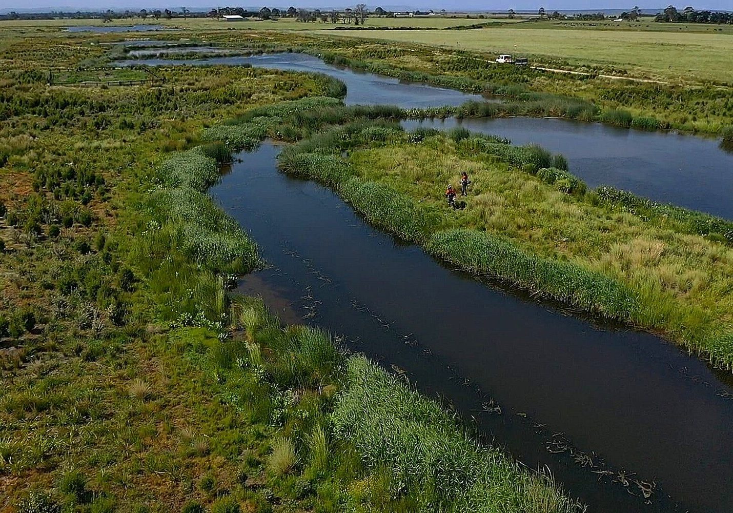 Koo Wee Rup Wetlands: Expert Solutions for Wetland Creation and Management