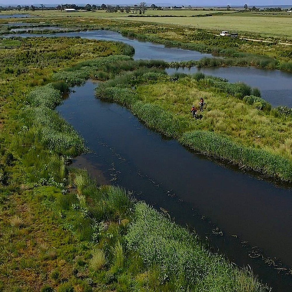 Koo Wee Rup Wetlands: Expert Solutions for Wetland Creation and Management
